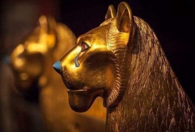 The intricately carved golden lion heads from King Tutankhamun's burial chamber, symbolizing the king's strength and divine connection.