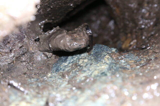 The man’s right foot was still wearing a shoe, wedged beneath large stones in the well. 