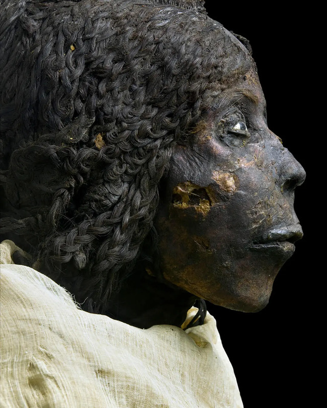 The mummified side view of Queen Nodjmet, emphasizing the skilled preservation of her features and braided hair.