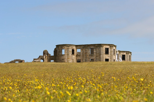 The remnants of Downhill House rising from a picturesque field of wildflowers, blending beauty with history.