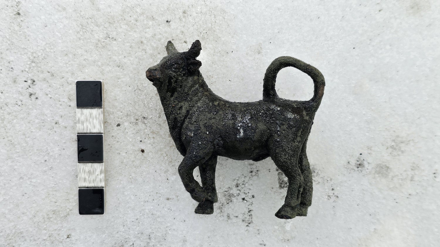 The so-called bull statuette is proudly displayed after being recovered from the muddy remnants of an ancient spa in San Casciano dei Bagni.