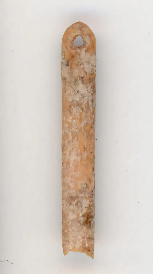 This eyed needle, meticulously fashioned from the bone of a red fox, was unearthed at the La Prele archaeological site in Converse County, Wyoming.