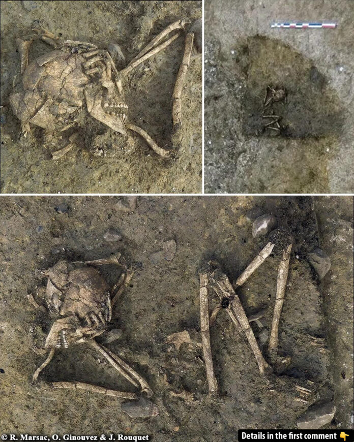 Unearthing a Neolithic Mystery: The Enigmatic Burial of a Decapitated Woman in France