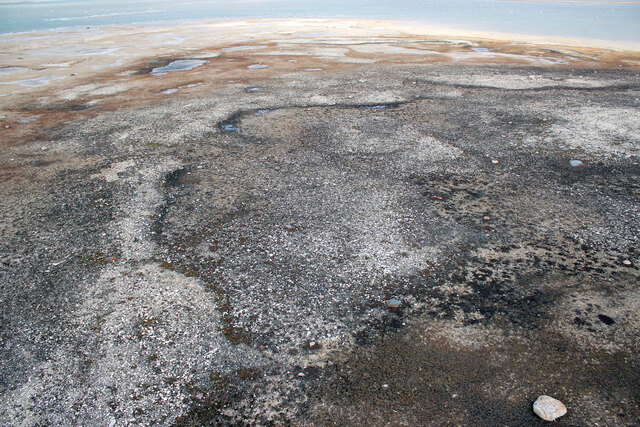 Excavation site, King William Island, Canada