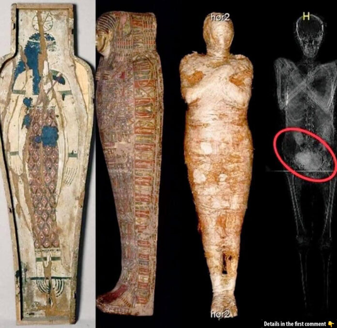 Unveiling the Mystery: The First Pregnant Ancient Egyptian Mummy Discovered