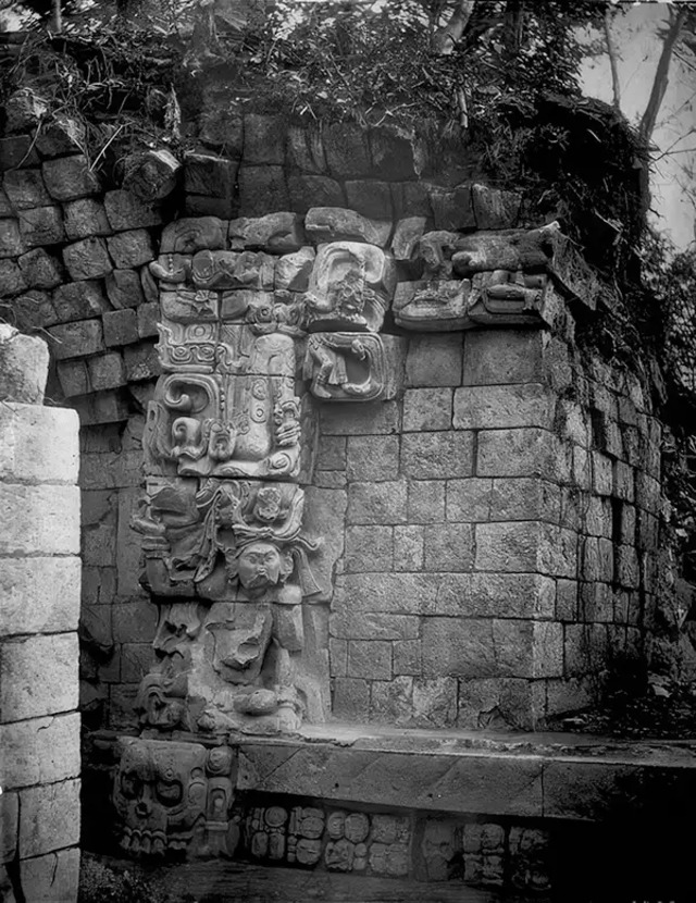 Zoomorph P, an iconic monument in Quiriguá, Guatemala, depicts the Cosmic Monster from Maya mythology in intricate detail.