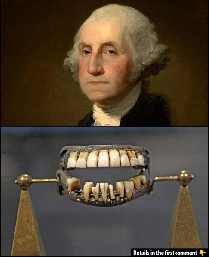 George Washington’s Teeth: Debunking the Wooden Myth and Revealing Fascinating Facts