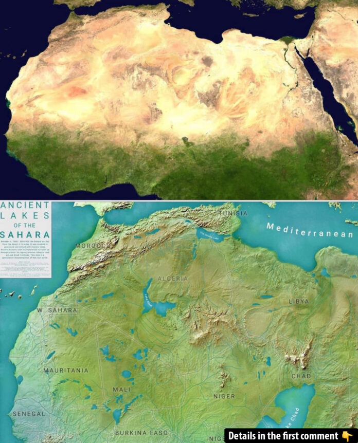 Ancient Echoes in the Sand: How the Green Sahara’s Fossil Rivers Shaped Human Resilience