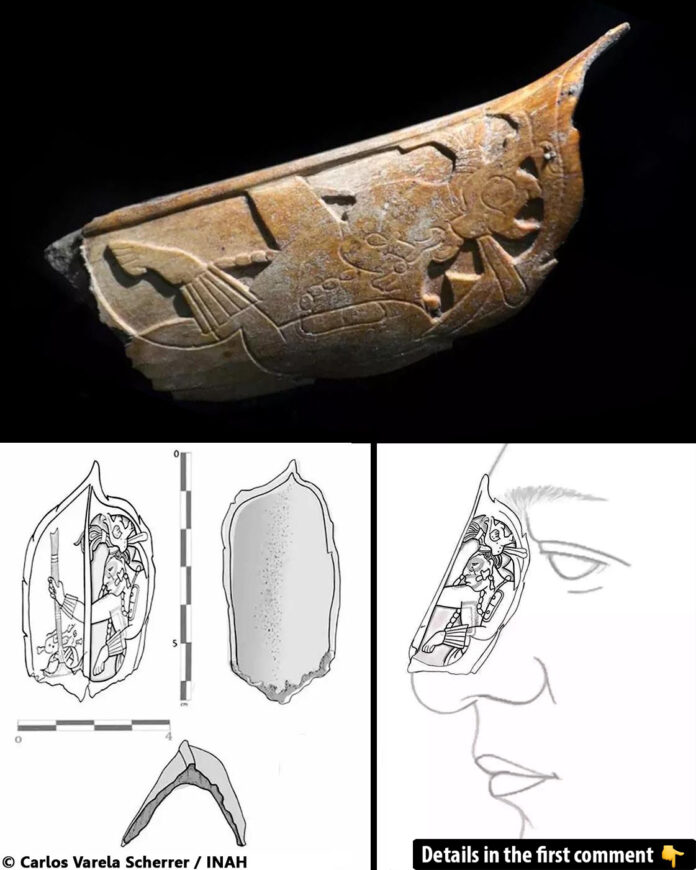 Unveiling the Past: Maya Nose Ornament Made of Human Bone Discovered at Palenque Ruins