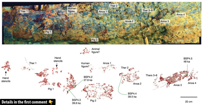 A panoramic view of the nearly 15-foot-wide (4.5 meters) panel within one of the caves showcases the breathtaking scale of this ancient artwork. (Image credit: Adhi Agus Oktaviana et al.; (CC-BY 4.0 Deed))