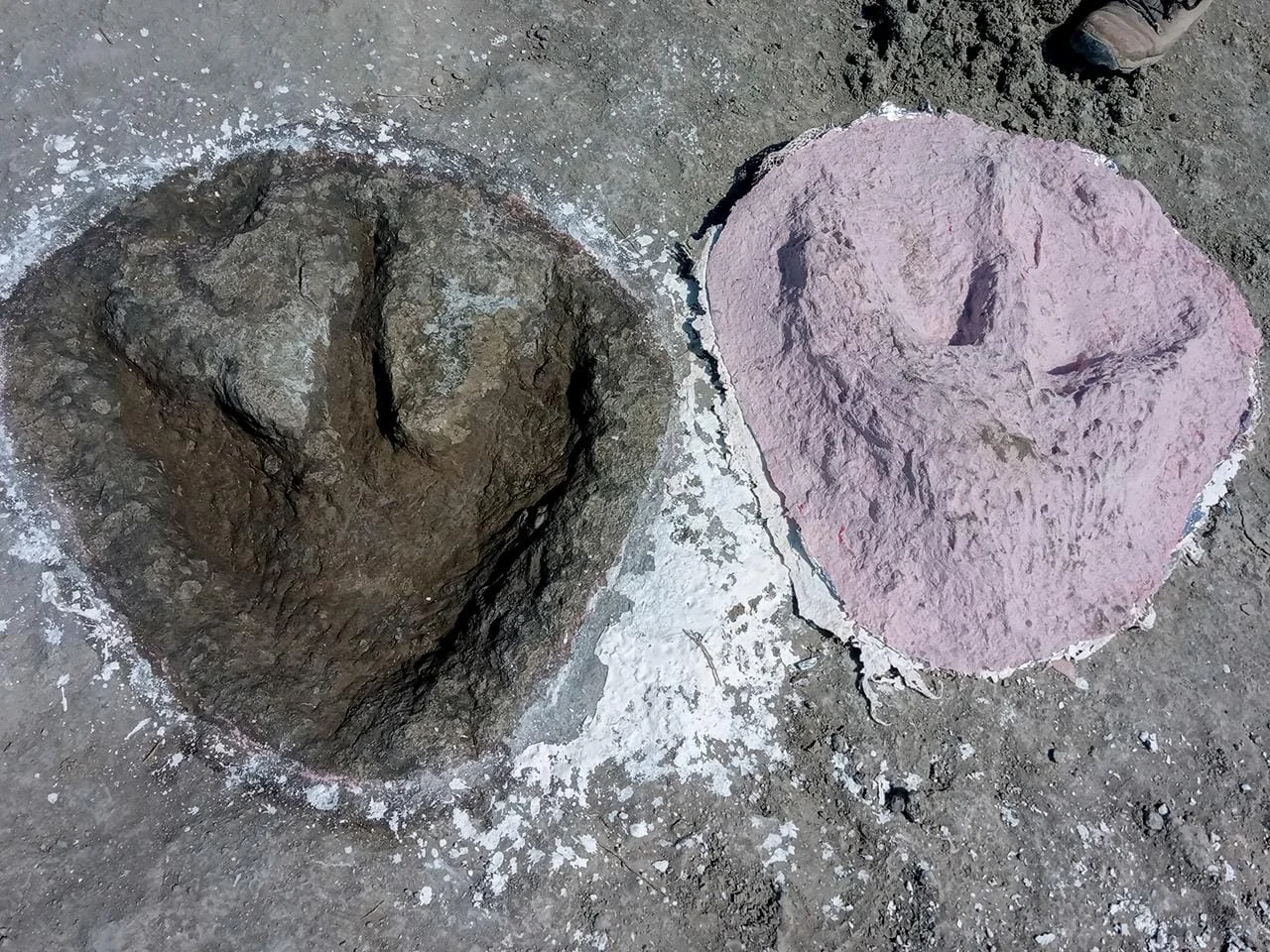 The footprints were initially spotted by quarry worker Gary Johnson as he cleared clay from the quarry floor.(Credit: Caroline Wood/Oxford University Museum of Natural History)