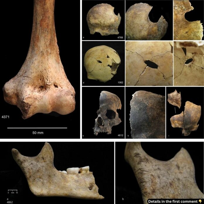 Butchered Bones and Brutal Histories: Cannibalism and Violence in Bronze Age Britain