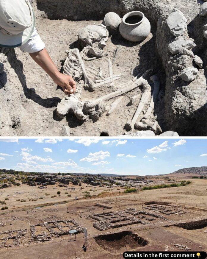 Unearthing the Secrets of Çayönü Hill: New Tombs from the Early Bronze Age