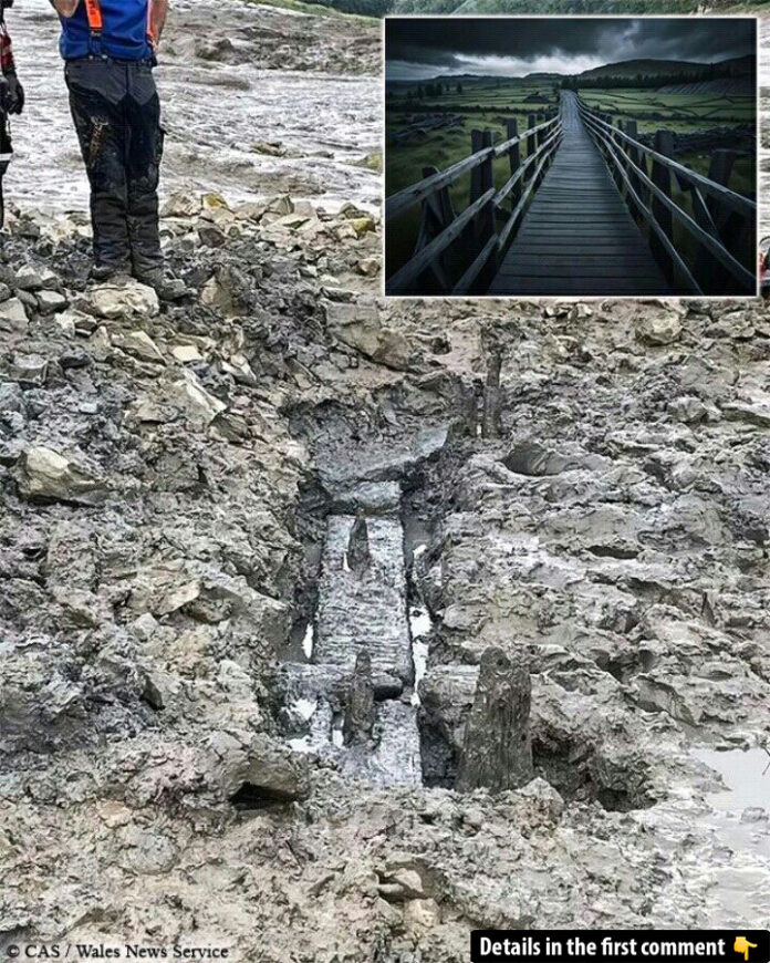 The Hidden Link: Unearthing a 2,000-Year-Old Wooden Bridge Connecting England and Wales