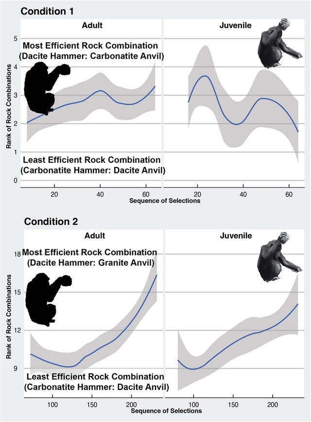 Plots illustrating the average efficiency ranking of rock combinations (hammer:anvil) across two experimental conditions highlight the evolving patterns in tool selection. Researchers analyzed sequences of individual rock choices, using Spearman’s rank correlation to explore trends in efficiency. (Credit: D. R. Braun et al., Journal of Human Evolution 2024)