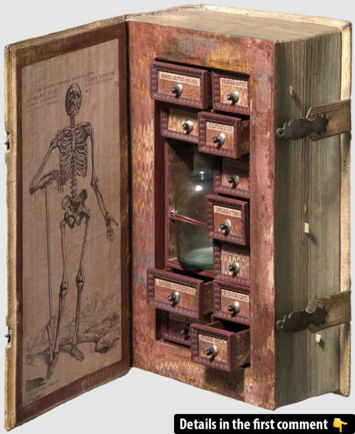 Assassin Cabinet: A 17th-Century Book of Deadly Secrets