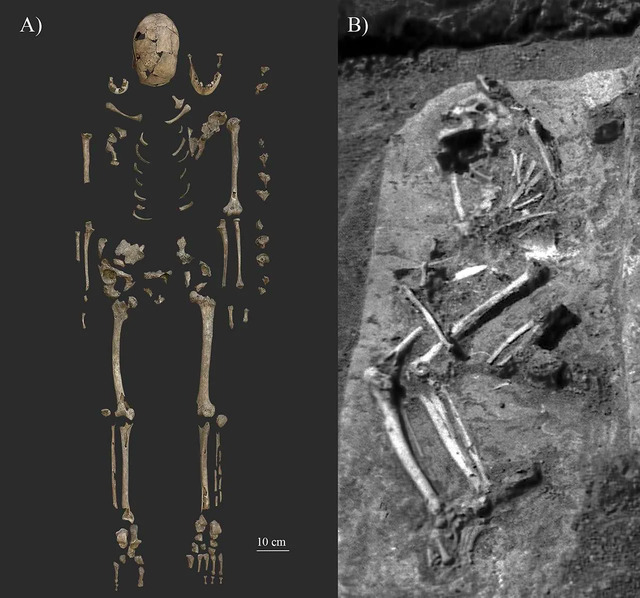 The skeletal remains from grave No. 63: A) A detailed photo showcasing the current state of preservation (photo by Luca Kis); B) A photograph of the burial site in situ, captured by Ibolya M. Nepper and skillfully edited by Luca Kis. (Credit: B. Tihanyi et al., PLoS ONE, 2024)