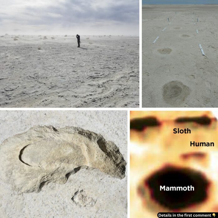 Ghost Tracks of White Sands: Tracing Ancient Lives in New Mexico’s Desert