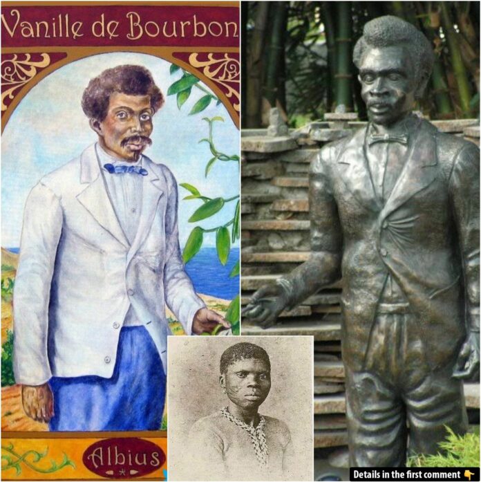 Edmond Albius: The Enslaved Boy Who Revolutionized the Vanilla Industry