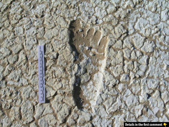 The preserved 20,000-year-old footprint discovered in Mungo National Park, New South Wales, offering insights into the physical capabilities of prehistoric humans. (Credit: National Geographic)