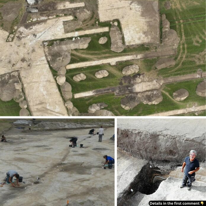 Unveiling Neolithic Secrets: A Village Unearthed in Northeastern France