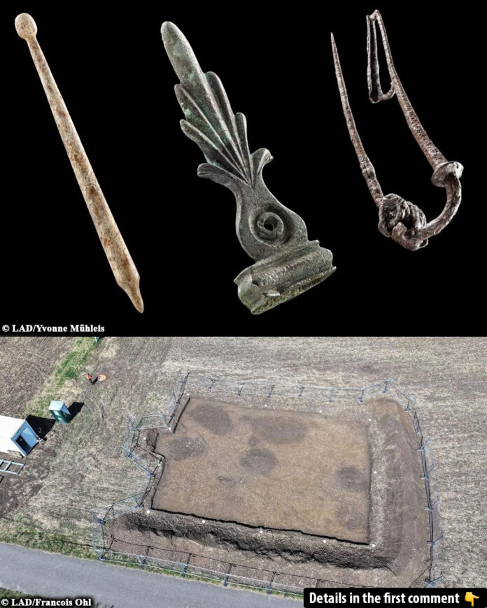 Ancient Artifacts Unearthed: Discoveries from the Celtic Settlement of Altenburg-Rheinau