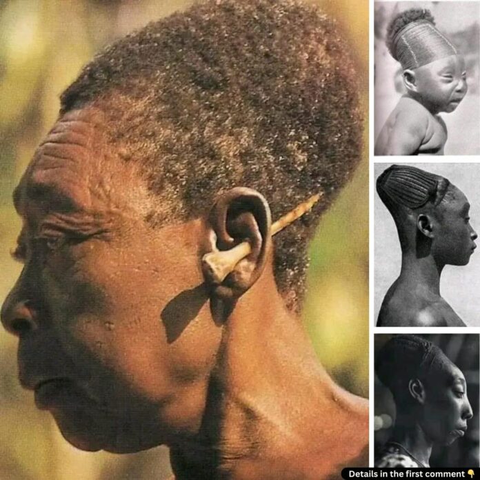 The Mangbetu Legacy: How Elongated Heads Defined Beauty, Power, and Culture