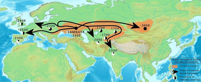 The Bronze Age migration of Yamnaya Steppe pastoralist ancestry shaped two vast regions, Europe and South Asia, marking a pivotal moment in human history. (Credit: DEMIS Mapserver / Wikimedia Commons)