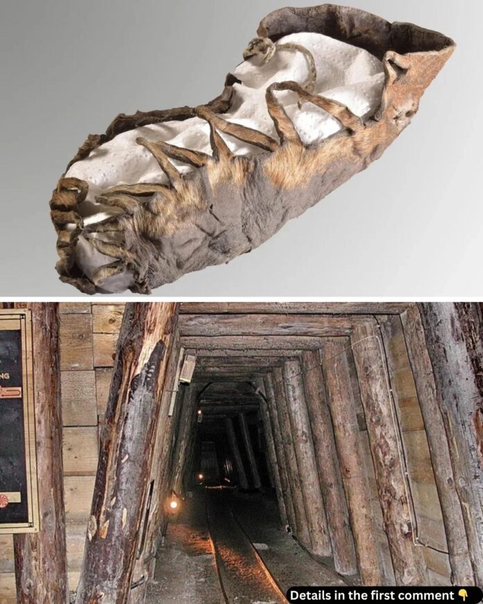 Unveiling the Past: 2,000-Year-Old Child's Leather Shoe Found in Austrian Salt Mine