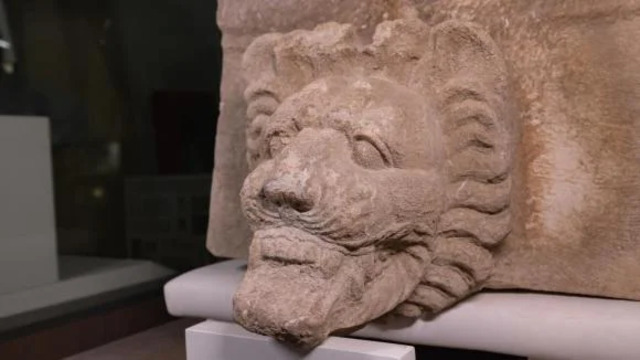 A closer side view of the marble lion's head gargoyle reveals the precision of ancient craftsmanship, although the carving remains unfinished. (Credit: Selinunte Project Ruhr University Bochum, Marc Klauss/Leah Schiebel)