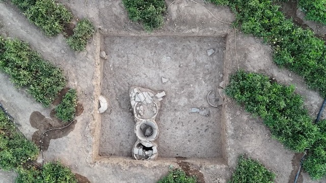 A section of the ancient Mesopotamian site of Kurd Qaburstan reveals numerous pithoi, or storage jars, which contained artifacts that have significantly enriched our understanding of Mesopotamian history. (Photo courtesy of Tiffany Earley-Spadoni)