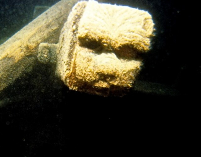 A carved wooden cathead, used to secure anchors, remains intact on one of the shipwrecks, showcasing early 19th-century craftsmanship.