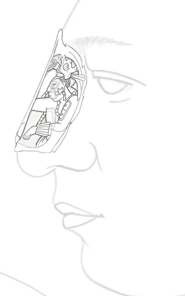 A conceptual sketch depicting how the Maya nose ornament would have been worn, aligning with the bridge of the nose to mimic the elongated head of the deity K'awiil. (Credit: INAH)