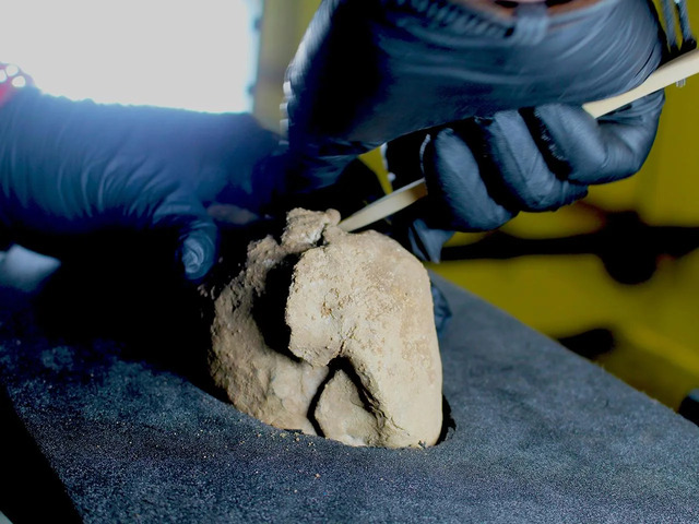 A conservator carefully opens the lead sheet encasing the ancient coin hoard, revealing its long-hidden treasures. (Credit: Oxford Cotswold Archaeology)