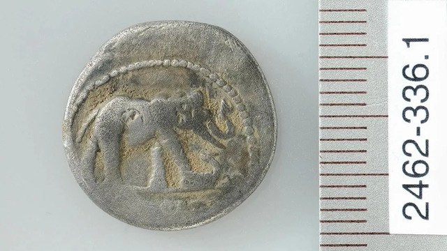 A detailed image of the silver denarius, minted during Julius Caesar’s time, featuring an elephant trampling a serpent. Credit: ADA Zug / Res Eichenberger.