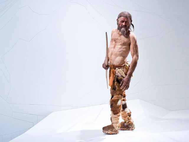 A detailed reconstruction of Ötzi offers a lifelike vision of this ancient individual. (Credit: OetziTheIceman, Flickr)