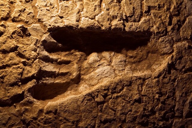 A detailed view of a fossilized footprint from the Mungo National Park, showcasing the remarkable preservation of ancient human tracks. (Credit: National Geographic)