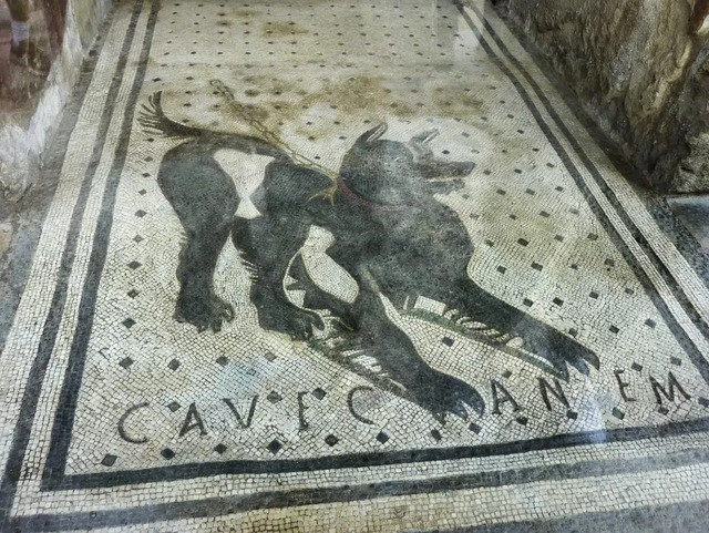 A detailed view of the iconic "Cave Canem" mosaic in Pompeii, depicting a black dog with the warning "Beware of the Dog" inscribed in Latin, found at the entrance of the House of the Tragic Poet.