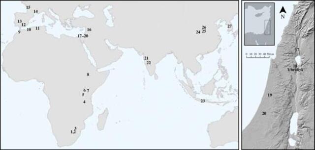 A global map displaying significant sites where ancient stone spheroids have been unearthed, including the groundbreaking discoveries at 'Ubeidiya.