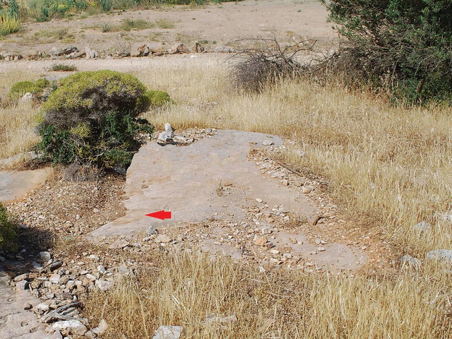 A marked patch of bedrock (arrow) pinpointing the exact location of the graffito.