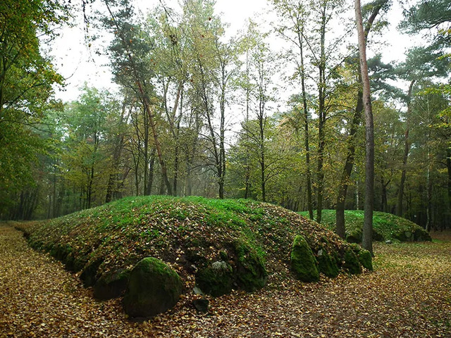 A moss-covered megalithic tomb in the forest near Dolice, standing as a testament to the enduring legacy of the Funnel Beaker Culture.