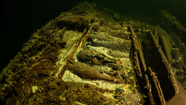 A remarkable discovery of unopened champagne bottles was made in a shipwreck beneath the Baltic Sea, sparking excitement among historians and divers. (Tomasz Stachura/Baltictech)