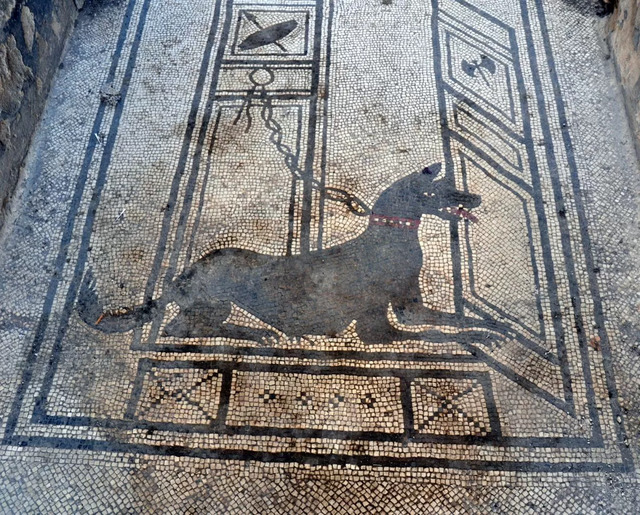 A second "Cave Canem" mosaic found in Pompeii, showcasing a chained dog guarding the entrance, symbolizing protection and warning visitors.