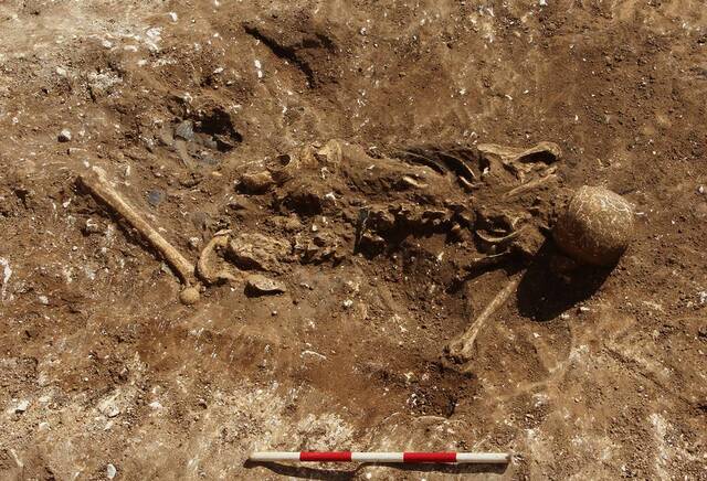 A single quarry pit contained the remains of approximately 300 human and animal individuals, offering a haunting glimpse into Roman-era practices. (PCA Oxford Journal of Archaeology)