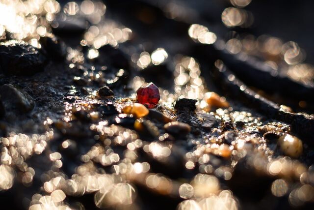 A solitary garnet catches the light on the muddy banks of the River Thames, a hidden gem amidst the silt. (Leon Neal / Getty Images)