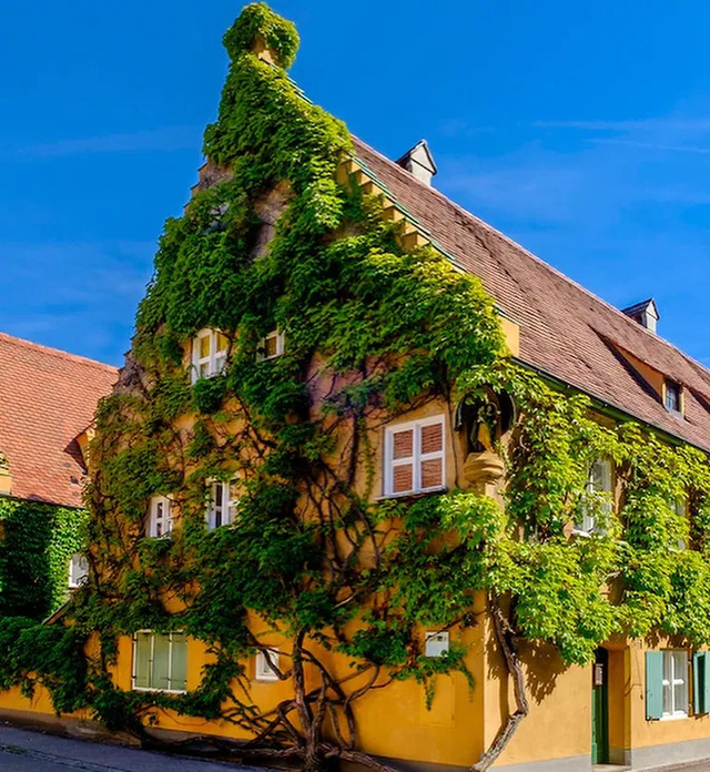 A striking view of one of the ivy-clad Fuggerei buildings, symbolizing the serene and timeless charm of the world's oldest social housing complex.