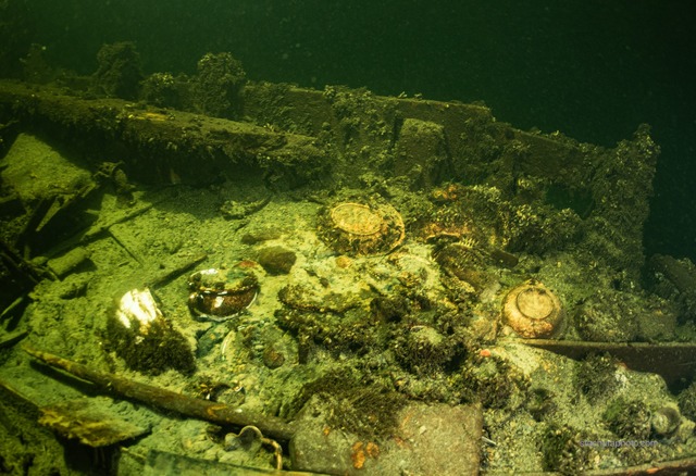 A view of the shipwreck's debris field, with scattered artifacts and remnants of its original cargo.