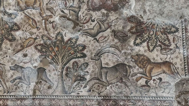 An extraordinary late Roman-era mosaic, showcasing the rare Anatolian leopard and vivid hunting scenes, is believed to be the first of its kind to remain fully intact in Türkiye. (Credit: Elazığ Museum)