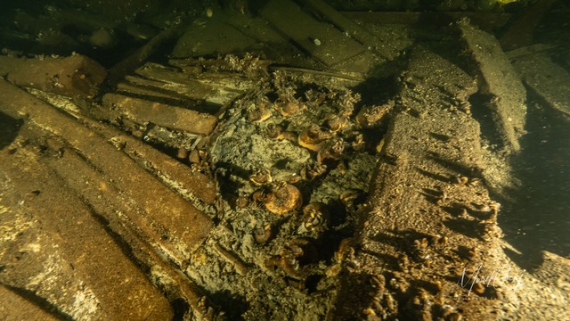 An area of the wreckage showing preserved jars and containers, potentially part of the ship's ancient cargo.