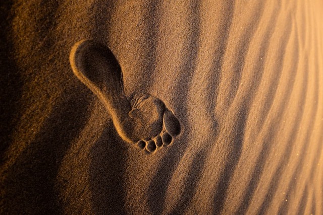 An artistic recreation of a human footprint in wet sediment, illustrating how prehistoric impressions were preserved over millennia. (Illustrative Image)